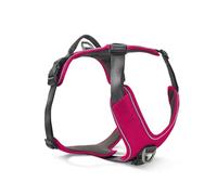 Wolters Harnais Active Pro Comfort - Taille : 50-57,5 cm - Couleur : magenta/anthracite