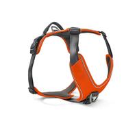 Wolters Harnais Active Pro Comfort - Taille : 50-57,5 cm - Couleur : rouge orange/anthracite