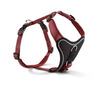 WOLTERS Harnais Professional Comfort - Différentes tailles et couleurs - 40-45 cm - Couleur : rouge rouille