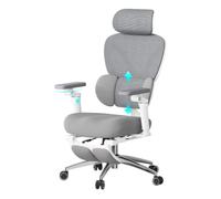 WOLTU Chaise de Bureau en Maille, Siège Réglable en Profondeur, Gris+Blanc | Fauteuil de Bureau Ergonomique, Appui-Tête 3D et Accoudoirs 6D, Soutien Lombaire Dynamique