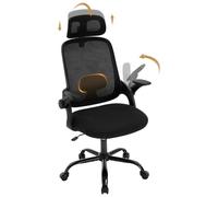 WOLTU Chaise de Bureau Ergonomique, en Maille, Appui-tête et Accoudoirs Réglables, Fauteuil de Bureau avec Support Lombaire, Dossier Inclinable, Noir