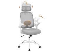 WOLTU Chaise de Bureau Ergonomique, en Maille, Appui-tête et Accoudoirs Réglables, Fauteuil de Bureau avec Support Lombaire, Dossier Inclinable, Gris Clair