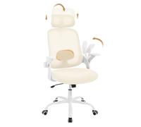 WOLTU Chaise de Bureau Ergonomique, en Maille, Appui-tête et Accoudoirs Réglables, Fauteuil de Bureau avec Support Lombaire, Dossier Inclinable, Beige