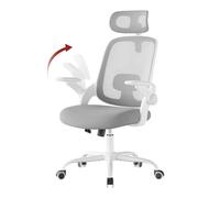 WOLTU Chaise de Bureau Ergonomique, Fauteuil de Bureau en Maille,Gris Clair