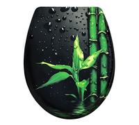 WOLTU Couvercle de WC avec SoftClose fonction,Abattant WC en Duroplaste Siège de toilette Design Déco Forme O