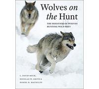 Wolves on the Hunt: The Behavior of Wolves Hunting Wild Prey