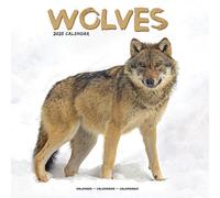 Wolves - Wölfe 2025 - 16-Monatskalender