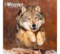 Wolves - Wölfe 2027 - 16-Monatskalender: Original BrownTrout-Kalender [Mehrsprachig] [Kalender]