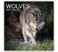 Wolves - Wölfe 2027 - 16-Monatskalender: Original Gifted Stationery-Kalender [Mehrsprachig] [Kalender]