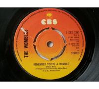 Wombles, The - Remember You're A Womble