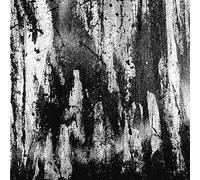Wombripper - from The Depths of Flesh [Import]