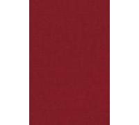 Women In Colonial Latin America, 1526 To 1806