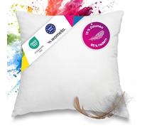 wometo Coussin Premium Plumes et Duvet Oeko-TEX 40 x 40 cm, 300 g