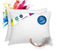 wometo Lot de 2 Coussins en Plumes 100% Plumes - 40 x 50 à 450 g - oekoTex - Housse Coton - Blanc - Coussin intérieur, Rembourrage de Coussin et Petits oreillers