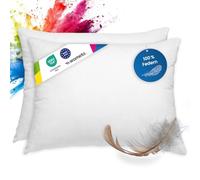 wometo Lot de 2 Coussins en Plumes 100% Plumes - 40 x 60 à 600 g - oekoTex - Housse Coton - Blanc - Coussin intérieur, Rembourrage de Coussin et Petits oreillers