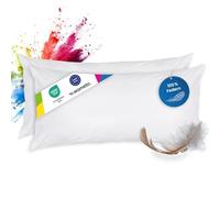 wometo Lot de 2 Coussins en Plumes 100% Plumes - 40 x 80 à 600 g - oekoTex - Housse Coton - Blanc - Coussin intérieur, Rembourrage de Coussin et Petits oreillers