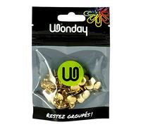 WONDAY 100 punaises en laiton doré
