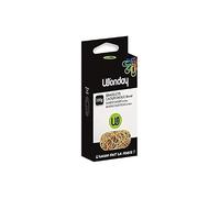 WONDAY Bracelets élastiques en caoutchouc 200 mm Blond – Boîte 100 g