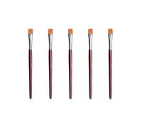 Wonday Lot De 5 Pinceaux Brosse Fibres Synthétiques Taille Numéro 10