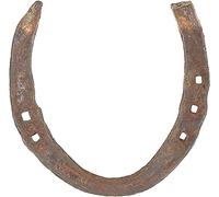 Wonder Care Fer à cheval authentique usagé, porte-bonheur, rustique, cadeau porte-bonheur en fonte véritable pour décorations murales, prospérité et fortune