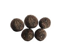 Wonder Care Lot de 5 perles Rudraksha authentique fruit rudraksha népalais, avec coquille brute naturelle, véritable Rudraksha pour mala et bracelet