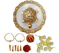 Wonder Care Wc_Raksha Bandhan Ensemble Rakhi festif - Combinaison de Rakhi pour frères et sœurs - Lot de 2 paniers Rudraksha Rakhi/Roli Chawal/assiette tortue/carte de vœux spéciale.