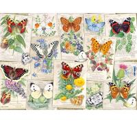 Wonder Forge Puzzle Butterfly Splendor de 1000 pièces pour Adultes | Pièces Uniques et Parfaitement ajustées | Images Amusantes et éclatantes | Exclusivité Amazon