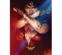 Wonder Woman (Power 60 x 80 cm Toile Imprimée