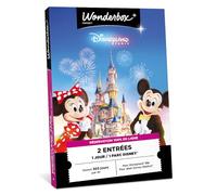 Wonderbox Connect - Coffret Cadeau - Disneyland Paris - Journée en Duo 1 Parc Disney® - 2 entrées pour 1 Jour - Parc Disneyland® ou Walt Disney Studios® - Parc à thème - Validité 27 Mois