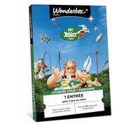 WONDERBOX Connect - Coffret Cadeau - Parc Astérix - pour 1 pers. | 1 entrée adulte pour 1 jour au choix - Plus de 50 attractions et spectacles - Validité 27 mois