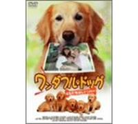 Wonderful Dog [Import allemand]