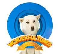 Wonderful Tunes-Love Winter [Import]