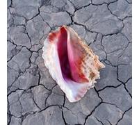 Killers - Wonderful Wonderful