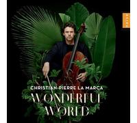 Wonderful World CD