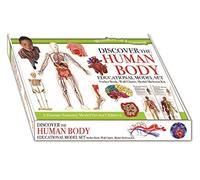 Wonders of Learning Model Set - The Human Body