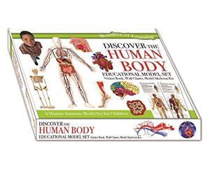 Wonders of Learning Model Set - The Human Body