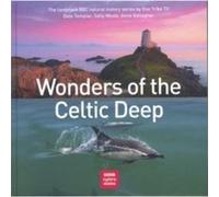 Wonders of the Celtic Deep by Anne Gallagher Anne Gallagher (Auteur)
