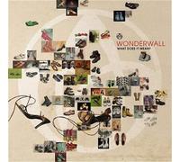 Wonderwall - What Does It Mean [Import]