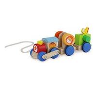 Wonderworld Safari Train Pull Toy G