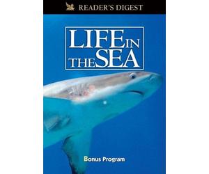 Wondrous Secrets of the Ocean Realm: Life in the Sea