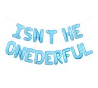 Wonmelody Décorations de montgolfière pour 1er anniversaire de garçon « Isn't He Onederful » - Bannière de ballons Mr Onederful - Ciel bleu nuage et montgolfière - Décoration pour voyage pour garçon