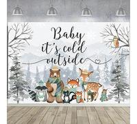 Wonmelody Toile de fond d'hiver pour fête prénatale avec inscription « Baby It's Cold Outside » - Décorations de fête prénatale - Décoration de fête prénatale - Décoration de fête prénatale au pays
