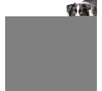 Wood Dog Nail Scratch Board 35x25x2.8cm Solid Wooden Paw Grinder with Pull Out Treat Drawer, 700g Durable Claw Filing Trainer for Home Use, Interactive Snack Reward Toy for Small Medium Dogs