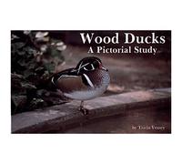 Wood Ducks A Pictorial Study