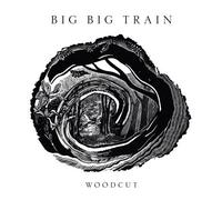 Big Big Train – Woodcut – Vinyle 12" – Pochette gatefold – The Orchard