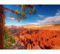 Wooden Adult Puzzle 1000 Pieces Bryce Canyon Utah Home Art Deco Game Educational75*50cm