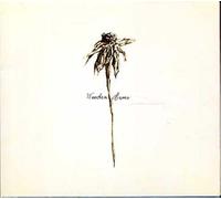 Patrick Watson – Wooden Arms – CD