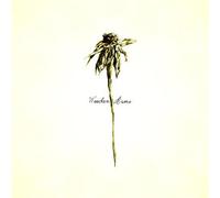 Wooden Arms CD