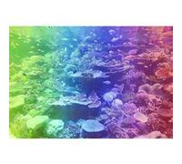 WOODEN CITY Puzzle en Bois CORAL REEF XL G