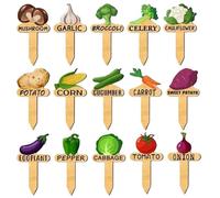 Wooden Garden Plant Labels - 15X Vegetable Name Tag Stakes, Reusable Nursery Identification Markers, Natural Wood Seedling Labeling Accessories | Durablee Greenhouse Gardening Supplies Handy Marker